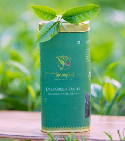 evergreen-youth02